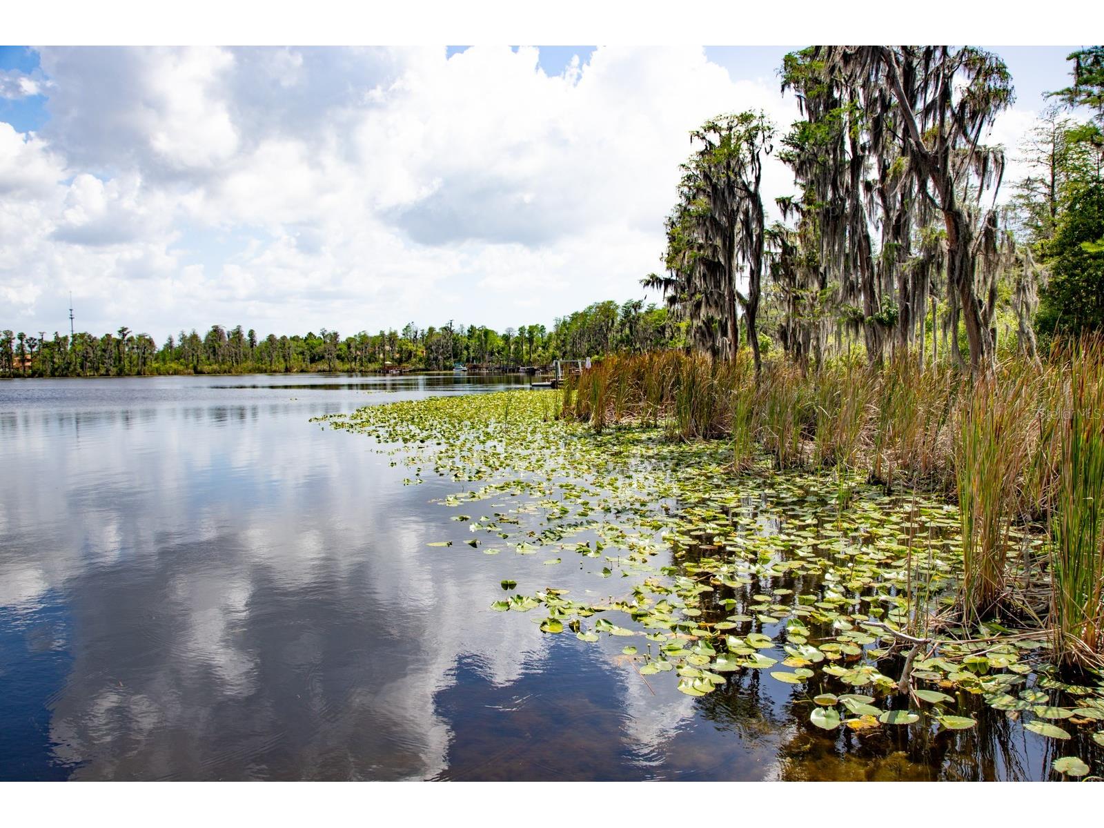11532 Bathgate Court New Port Richey FL 34654 - Moon Lake TB8495952 image61