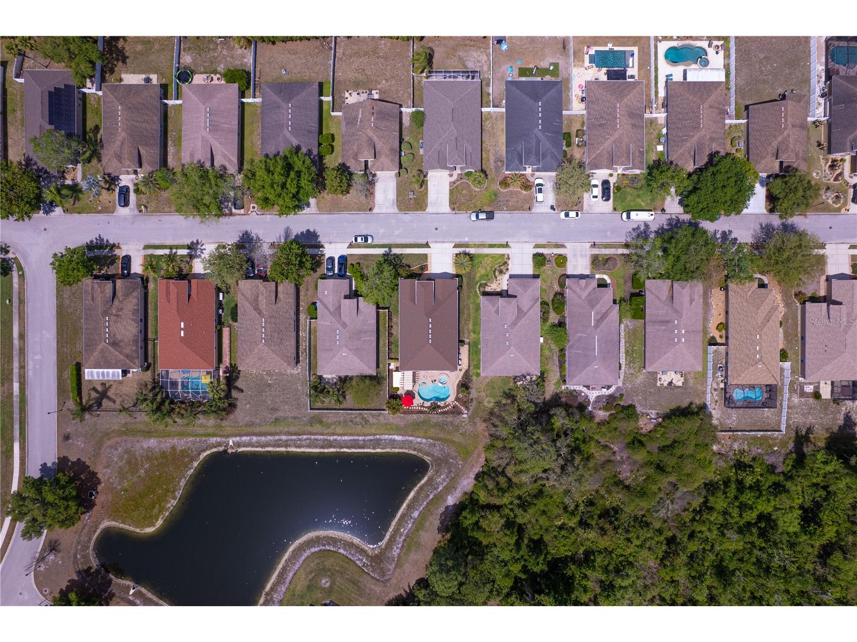 11532 Bathgate Court New Port Richey FL 34654 - Moon Lake TB8495952 image9