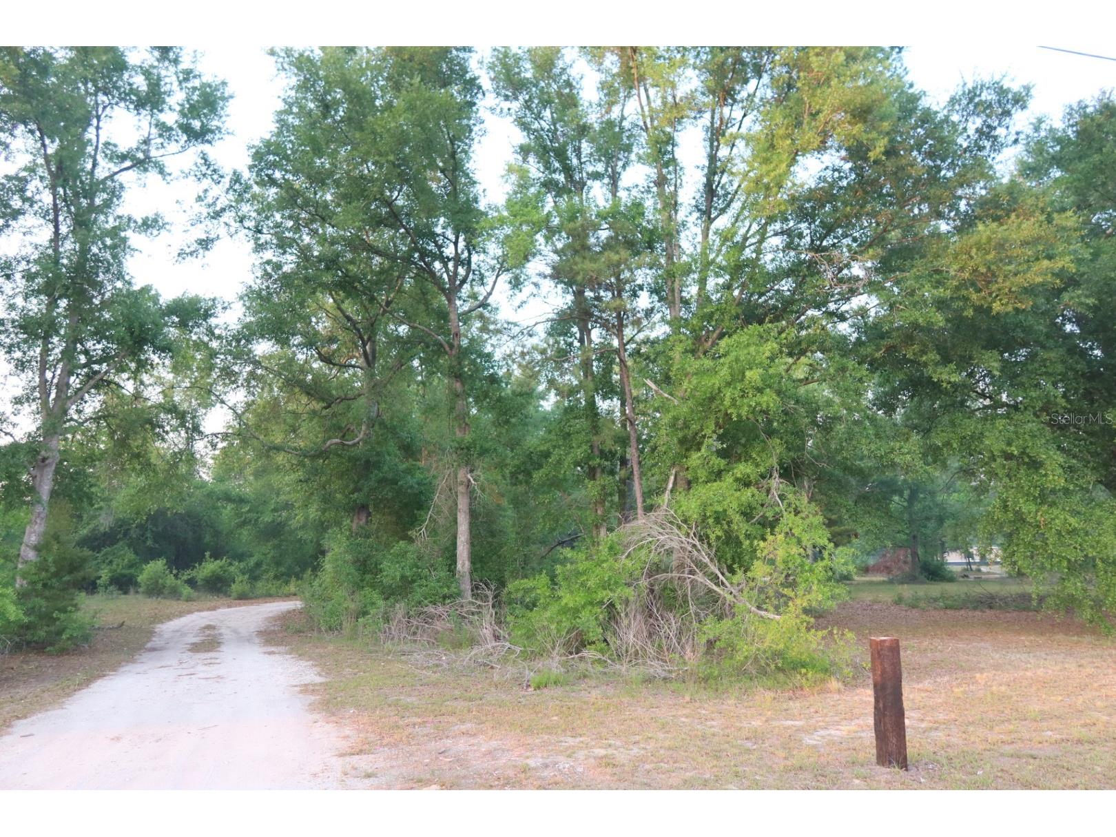 11533 E Us 90 Madison FL 32340 GC539333 image27