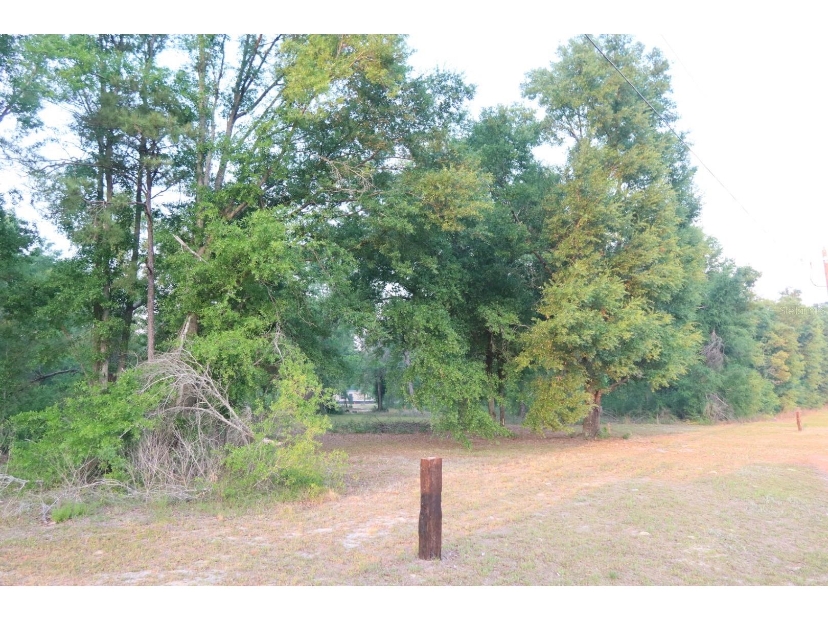 11533 E Us 90 Madison FL 32340 GC539333 image28