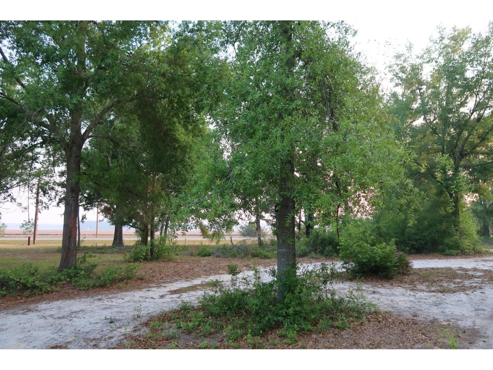 11533 E Us 90 Madison FL 32340 GC539333 image29