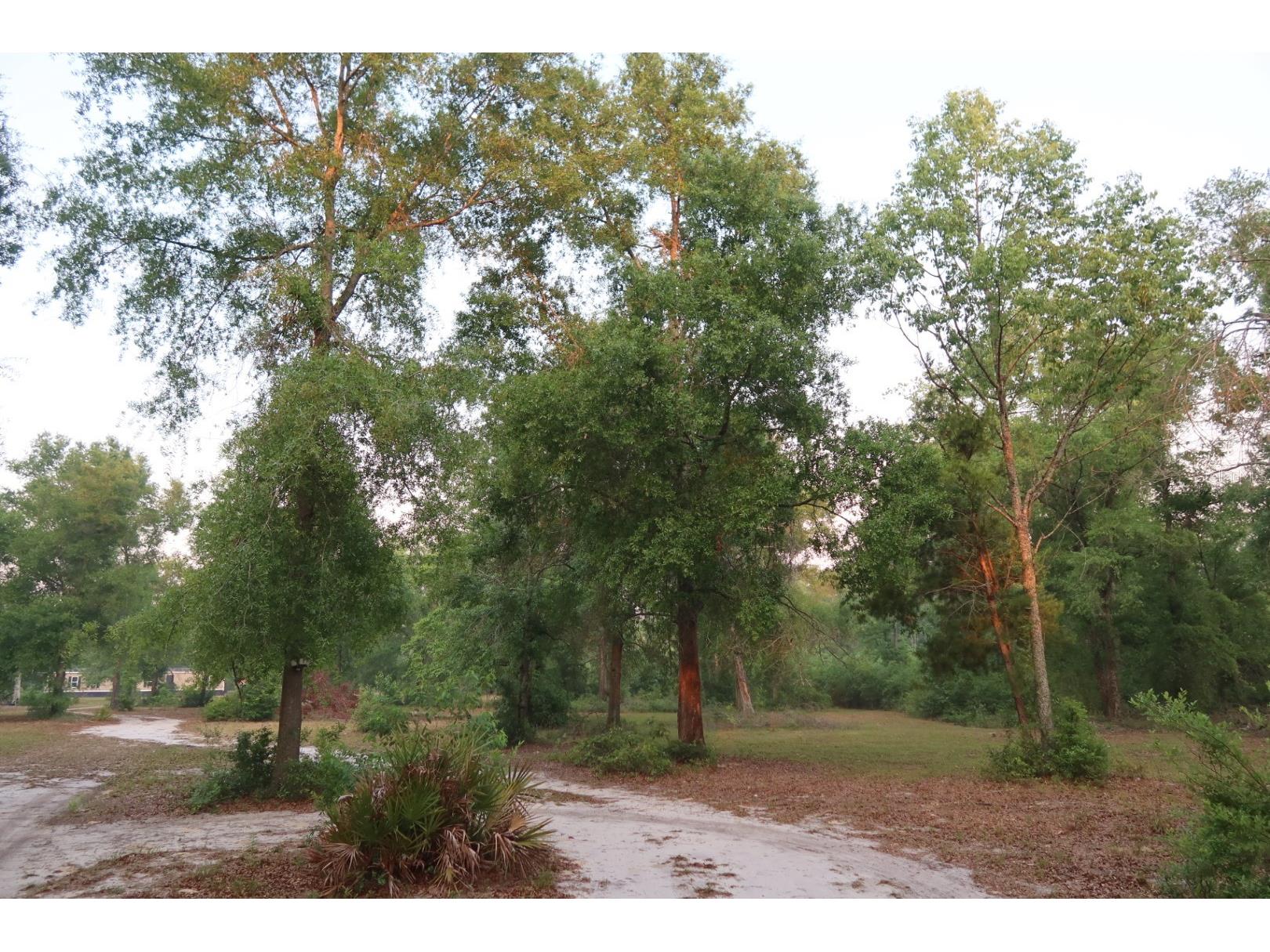 11533 E Us 90 Madison FL 32340 GC539333 image31