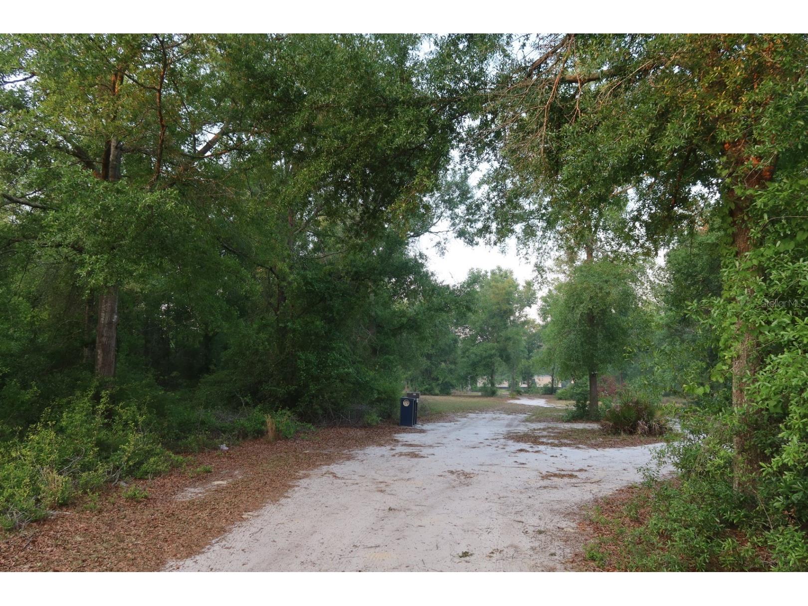 11533 E Us 90 Madison FL 32340 GC539333 image32