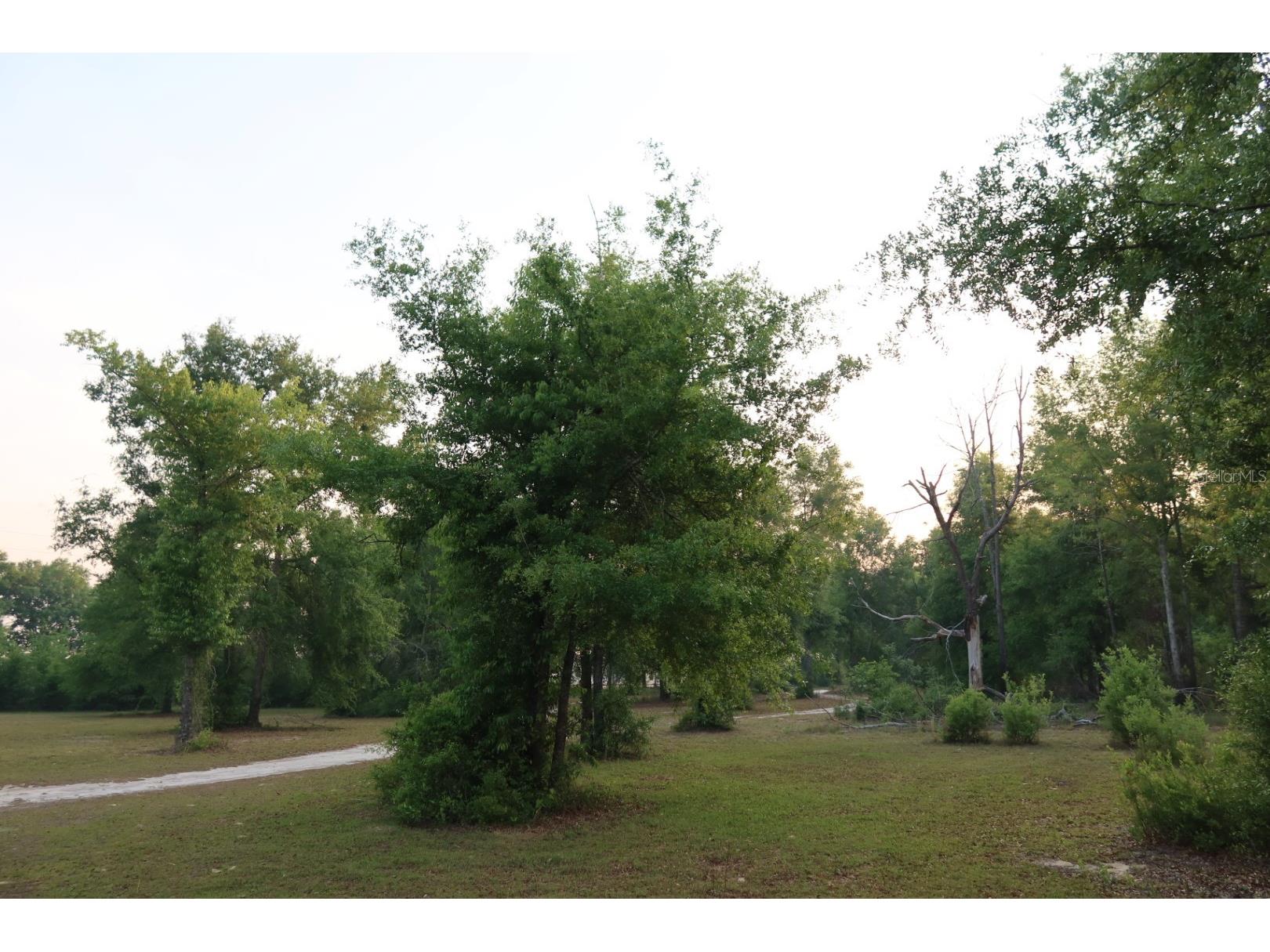 11533 E Us 90 Madison FL 32340 GC539333 image33