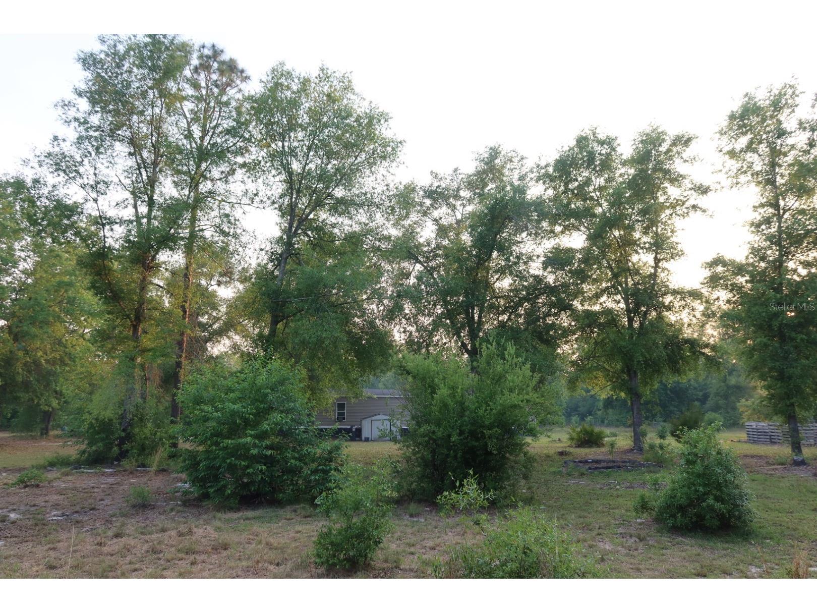 11533 E Us 90 Madison FL 32340 GC539333 image35