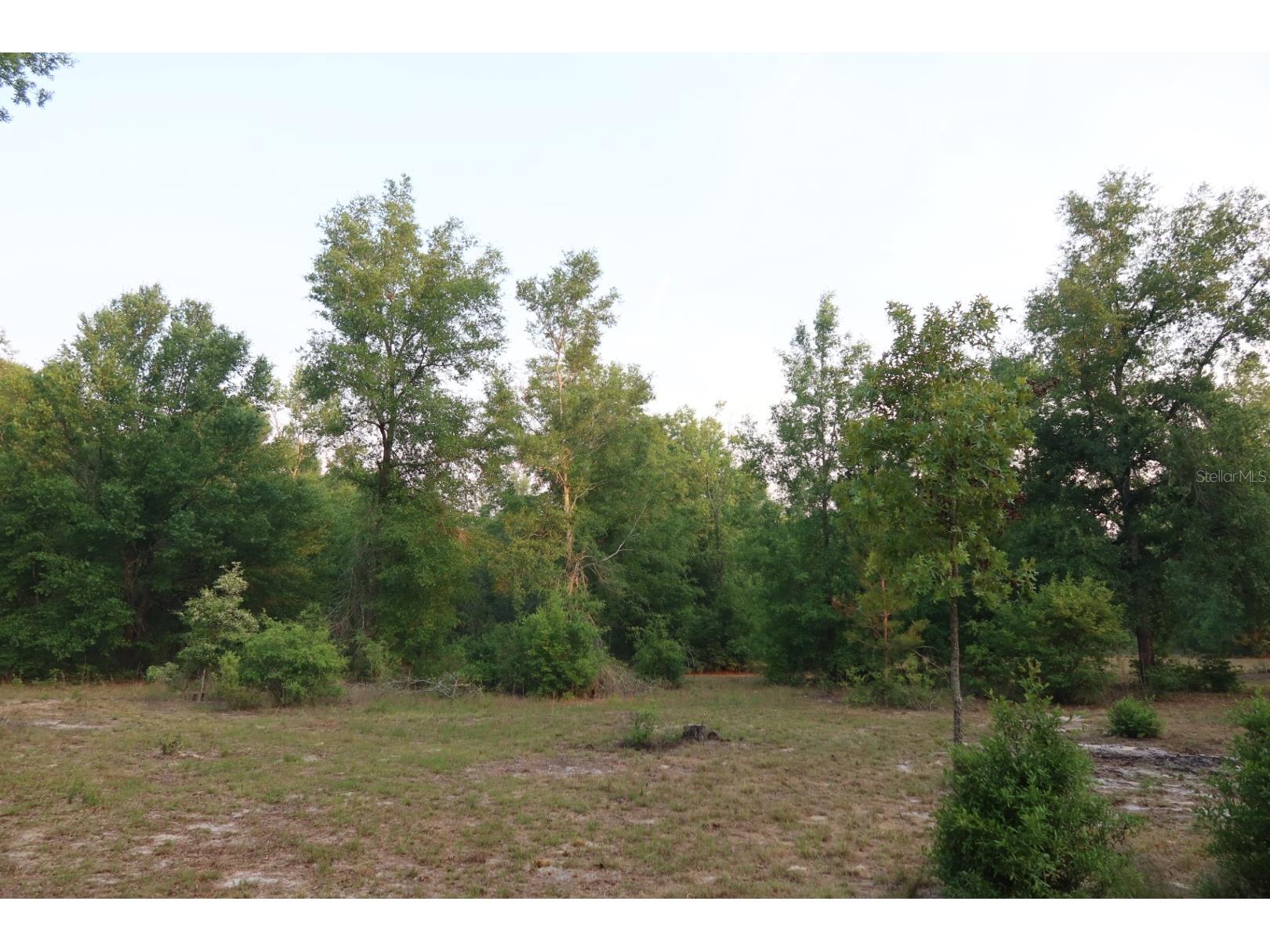 11533 E Us 90 Madison FL 32340 GC539333 image36