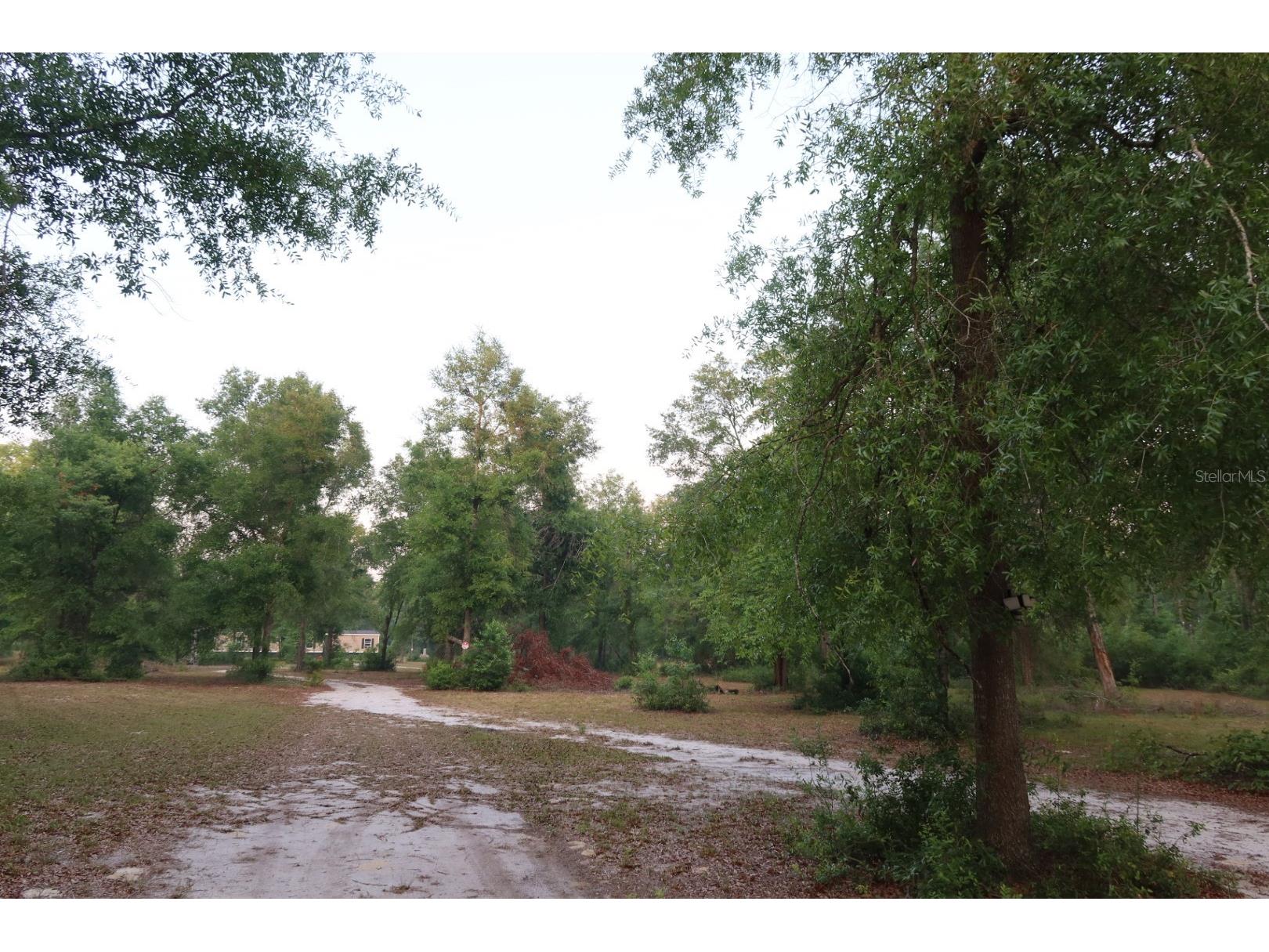 11533 E Us 90 Madison FL 32340 GC539333 image37