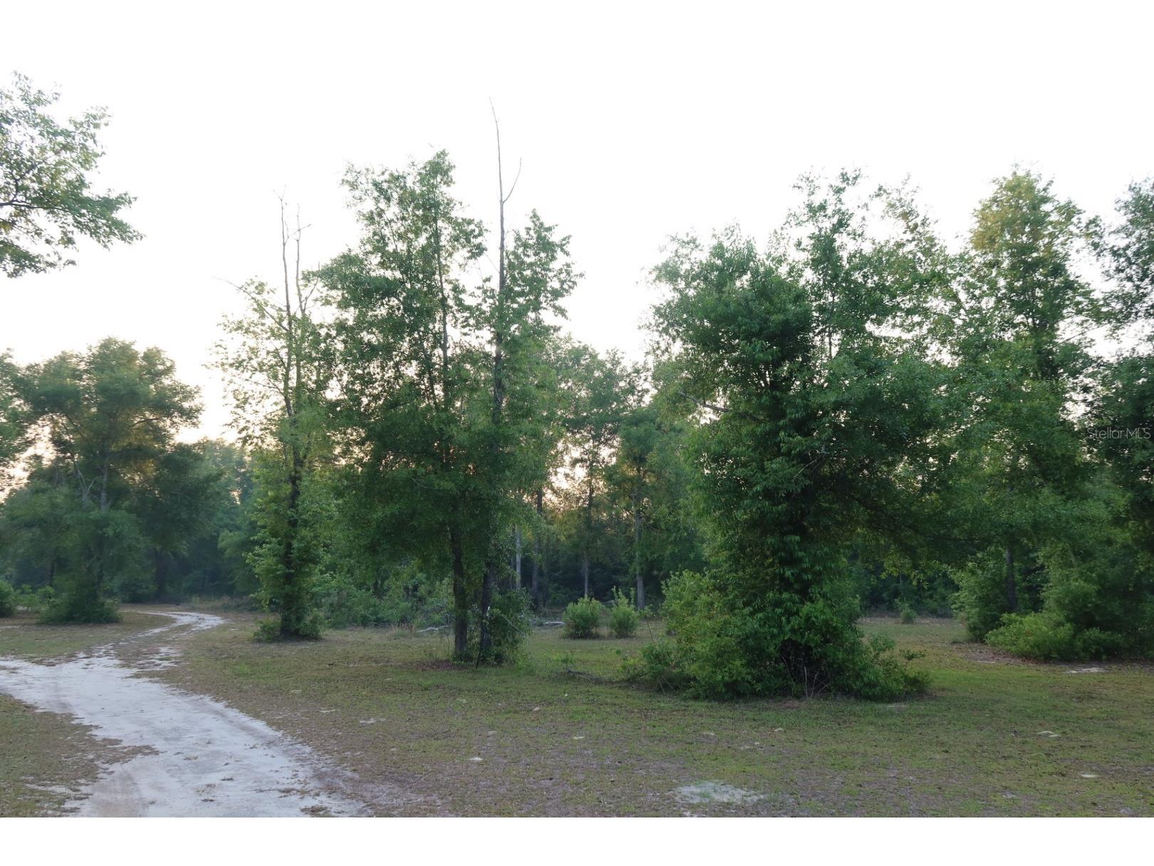 11533 E Us 90 Madison FL 32340 GC539333 image38