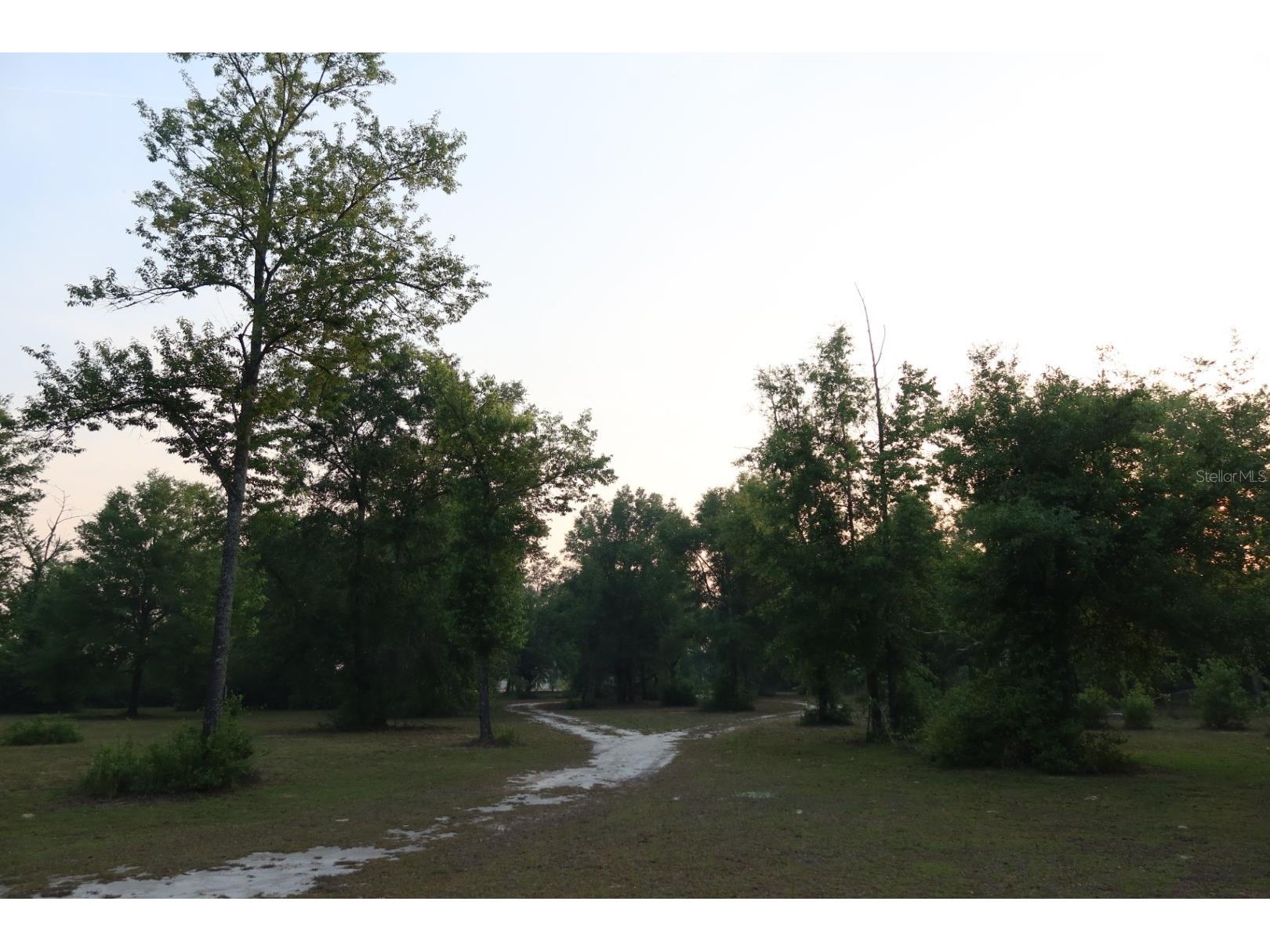 11533 E Us 90 Madison FL 32340 GC539333 image40