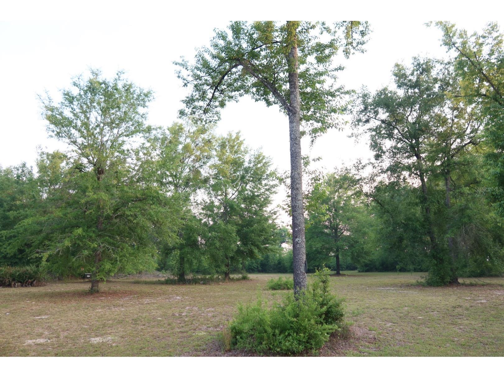 11533 E Us 90 Madison FL 32340 GC539333 image41