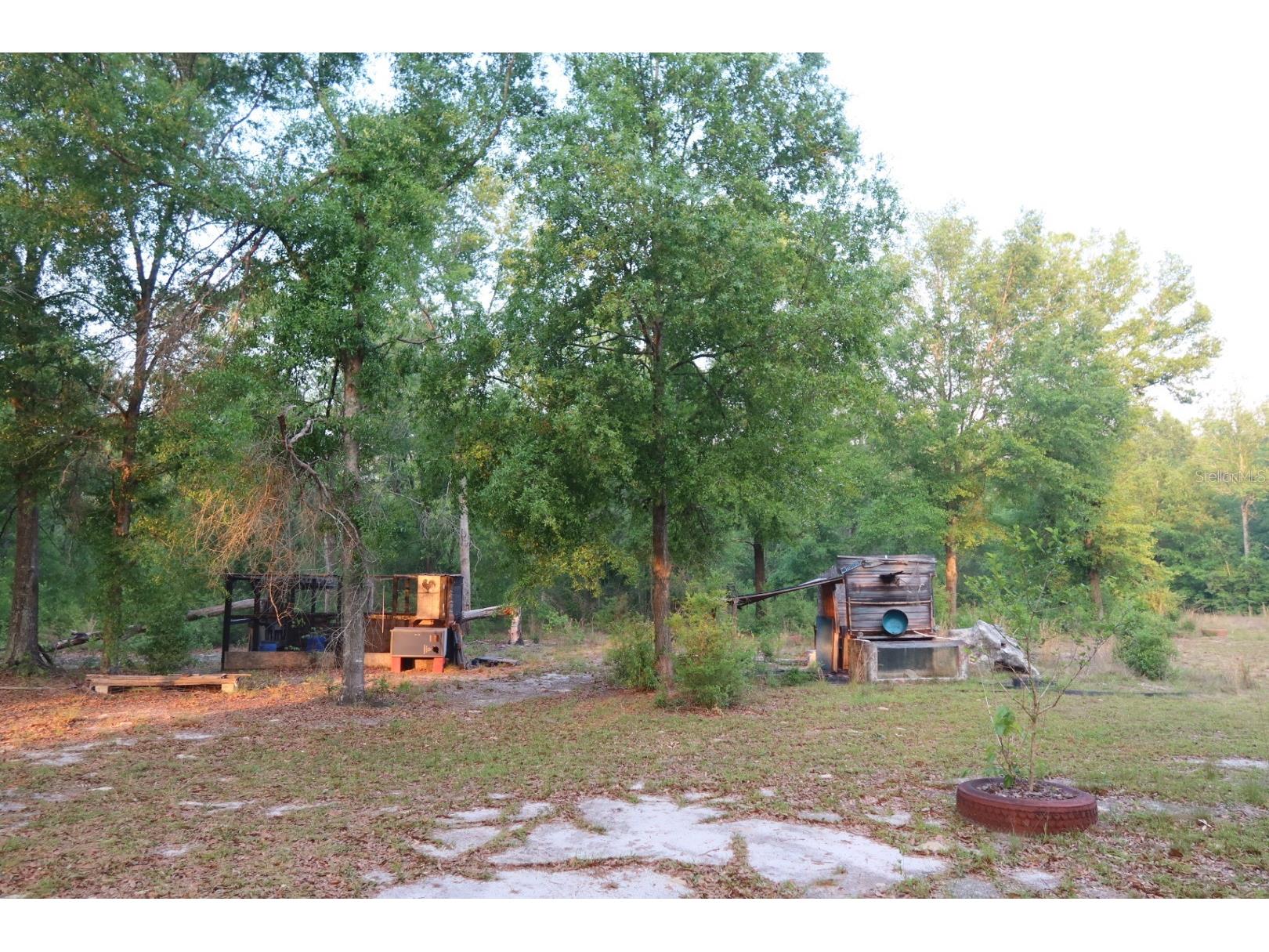 11533 E Us 90 Madison FL 32340 GC539333 image47