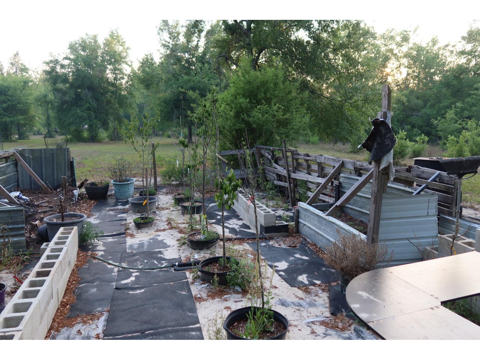11533 E Us 90 Madison FL 32340 GC539333 image48