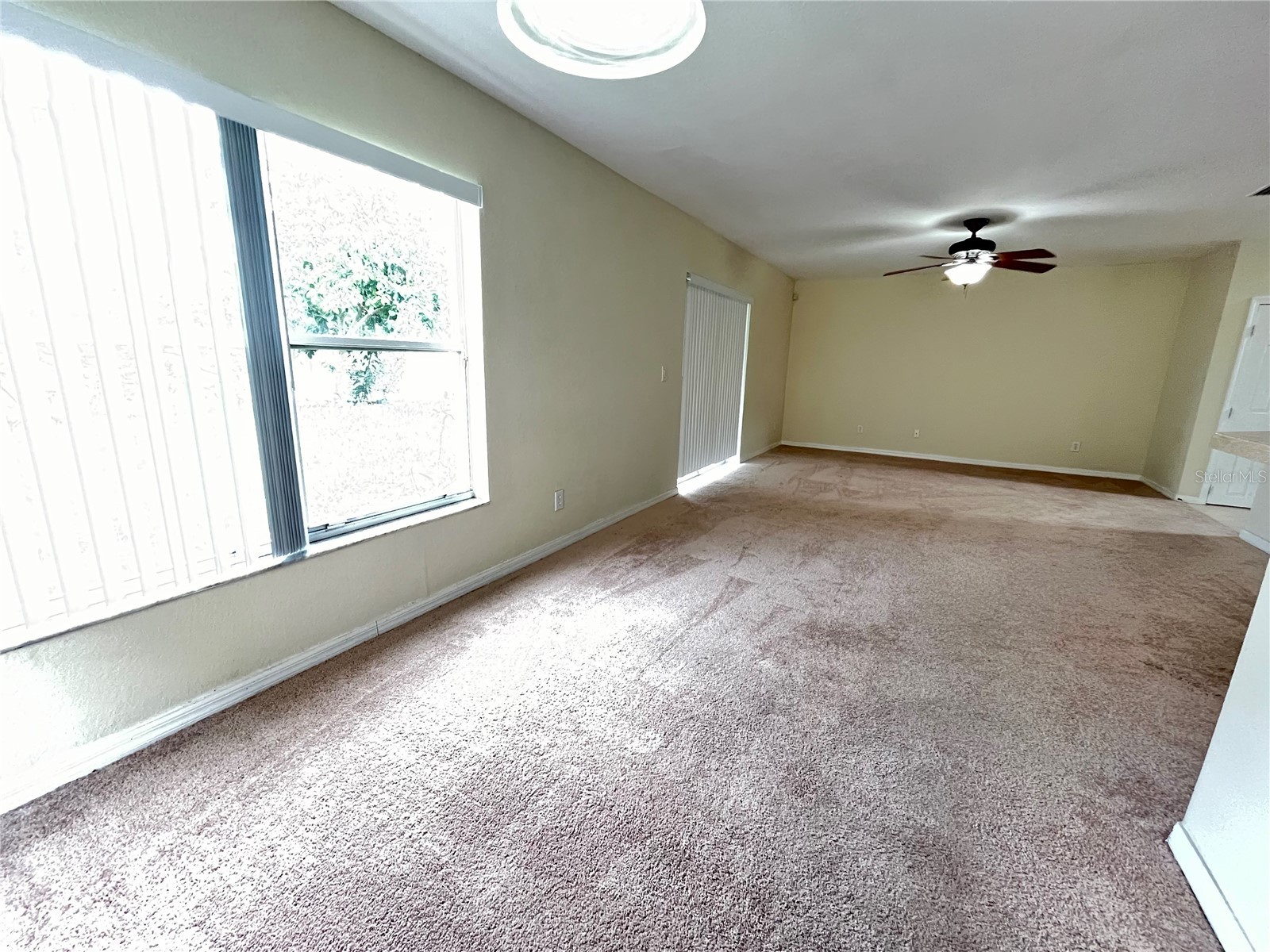 11534 Bay Gardens Loop Riverview FL 33569 TB8509783 image12
