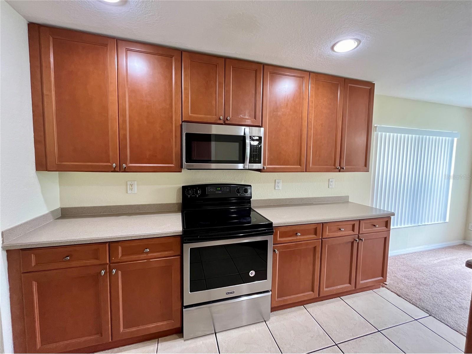 11534 Bay Gardens Loop Riverview FL 33569 TB8509783 image15