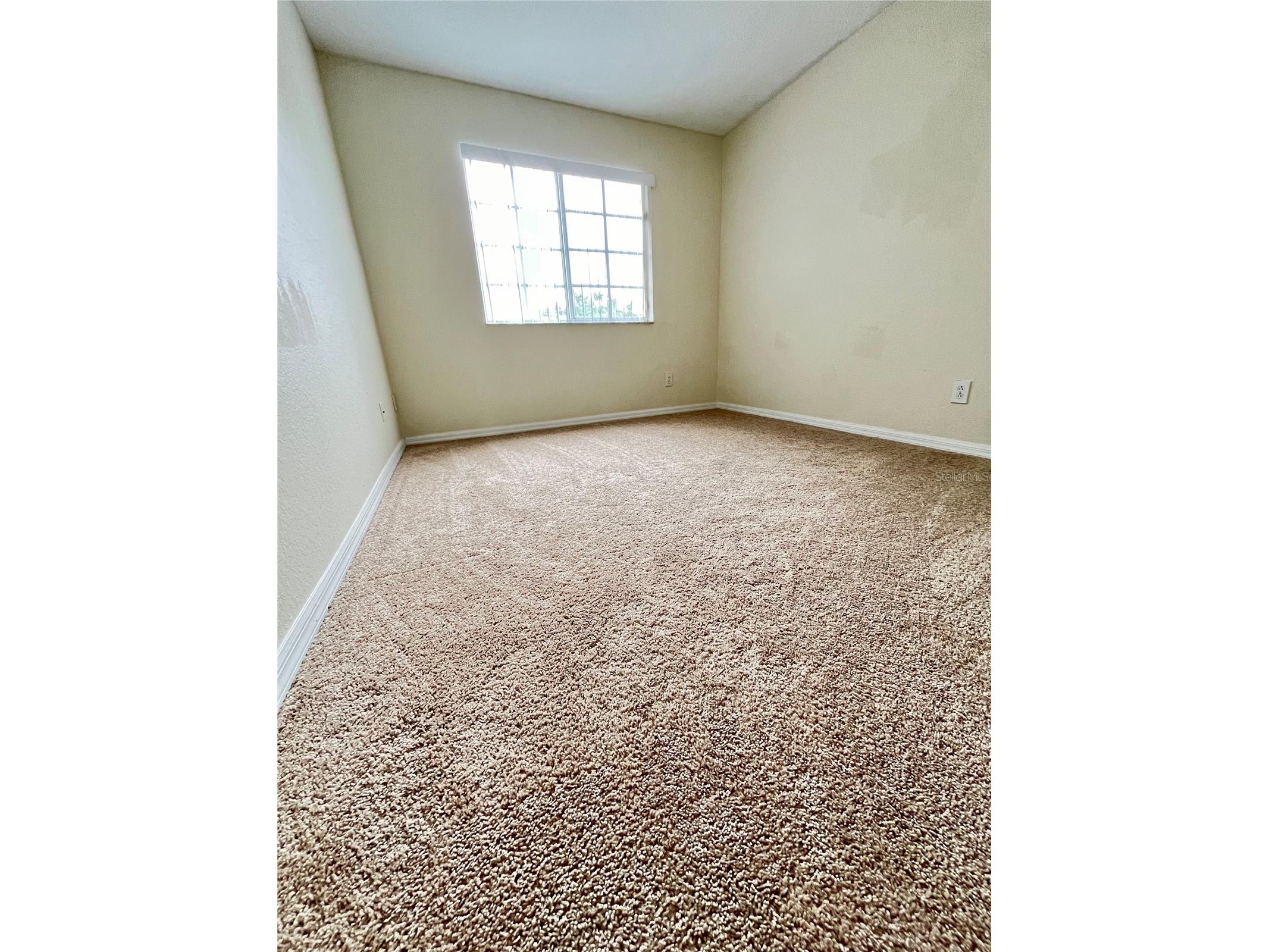 11534 Bay Gardens Loop Riverview FL 33569 TB8509783 image26