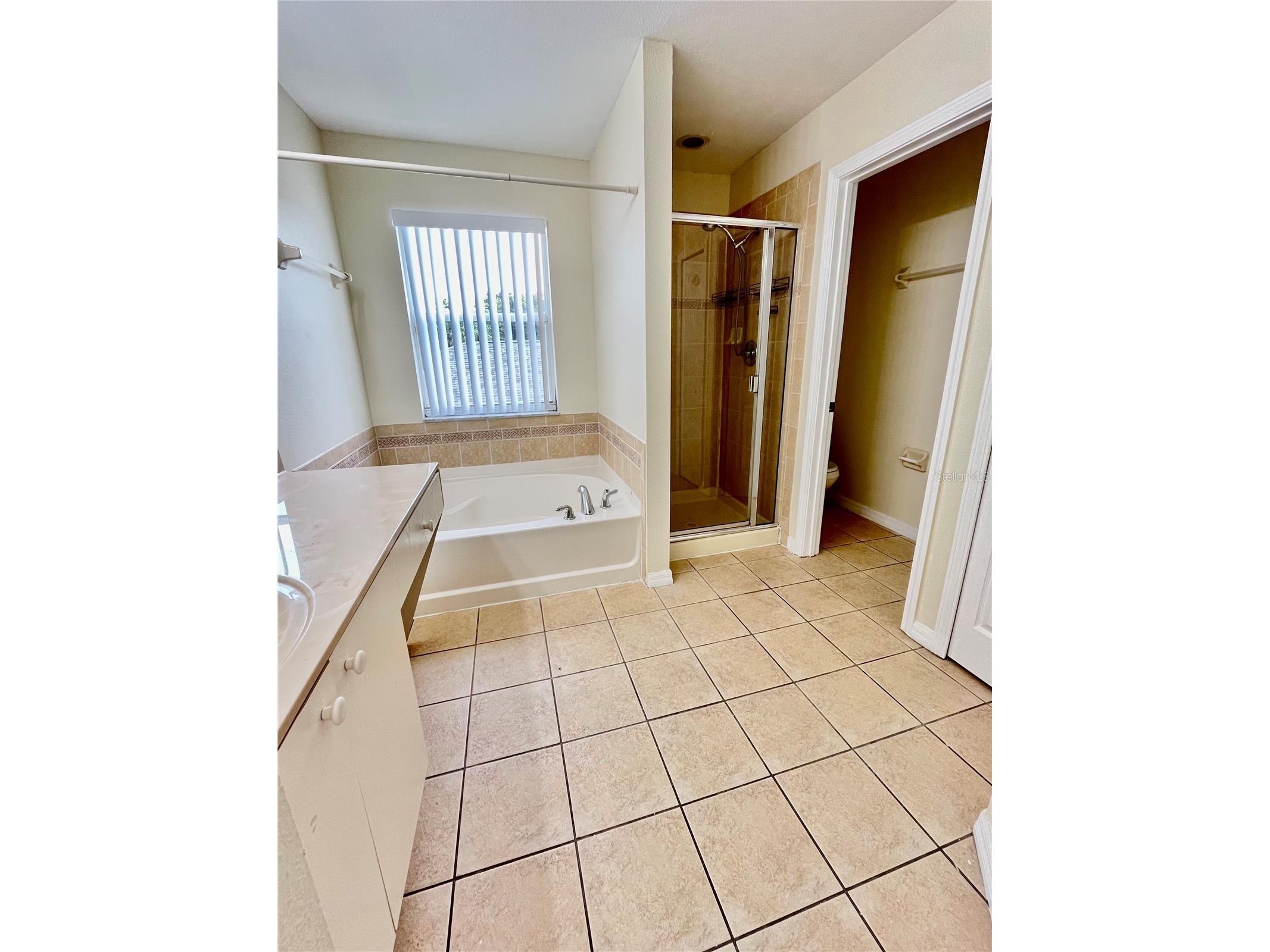 11534 Bay Gardens Loop Riverview FL 33569 TB8509783 image30