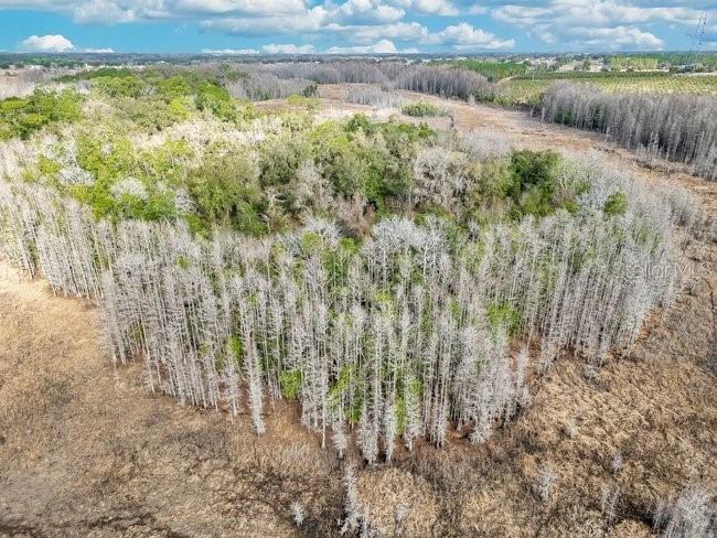 11535 Mattioda Road Groveland FL 34736 OM720967 image11