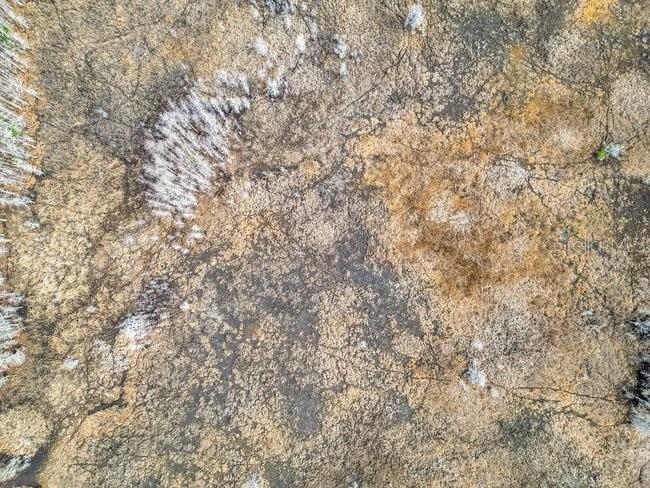 11535 Mattioda Road Groveland FL 34736 OM720967 image12