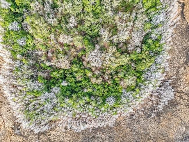 11535 Mattioda Road Groveland FL 34736 OM720967 image14