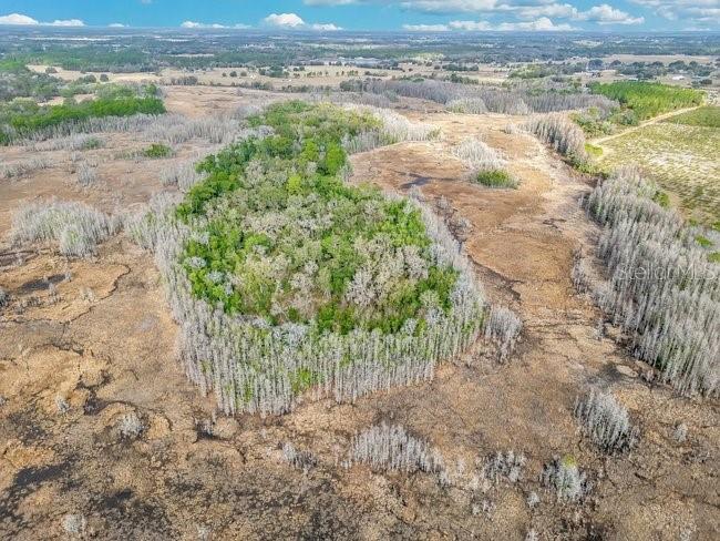 11535 Mattioda Road Groveland FL 34736 OM720967 image15