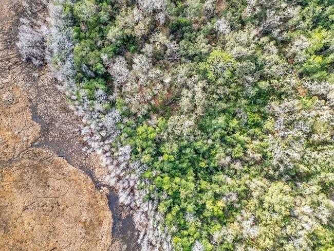 11535 Mattioda Road Groveland FL 34736 OM720967 image18