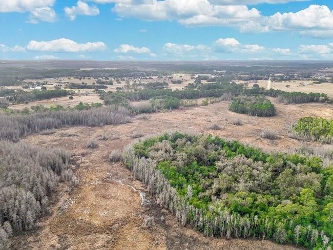 11535 Mattioda Road Groveland FL 34736 OM720967 image19