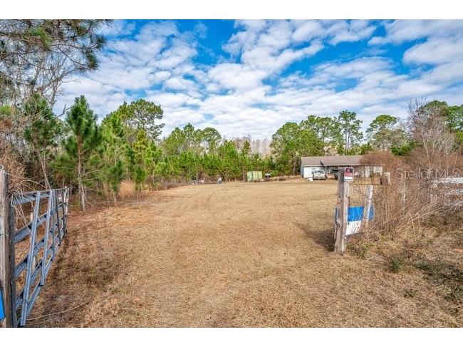 11535 Mattioda Road Groveland FL 34736 OM720967 image2