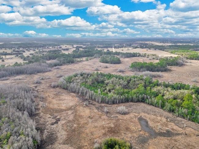 11535 Mattioda Road Groveland FL 34736 OM720967 image20