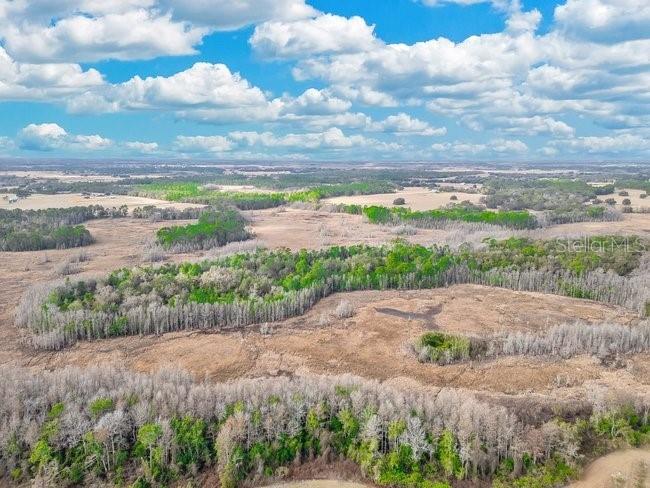 11535 Mattioda Road Groveland FL 34736 OM720967 image21