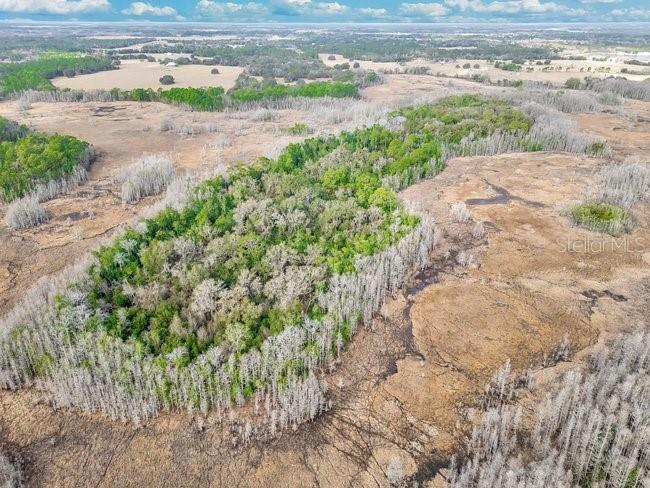 11535 Mattioda Road Groveland FL 34736 OM720967 image22