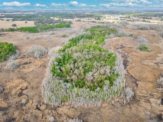 11535 Mattioda Road Groveland FL 34736 OM720967 image23