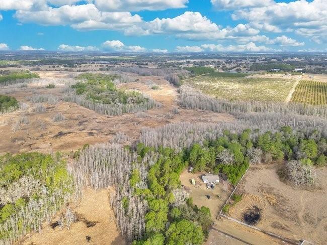 11535 Mattioda Road Groveland FL 34736 OM720967 image25