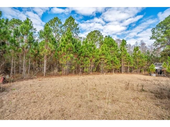 11535 Mattioda Road Groveland FL 34736 OM720967 image4