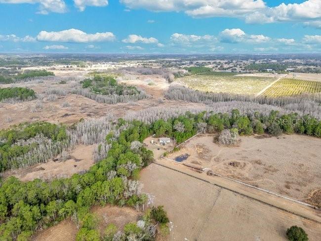 11535 Mattioda Road Groveland FL 34736 OM720967 image5