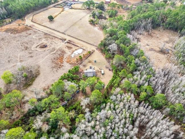 11535 Mattioda Road Groveland FL 34736 OM720967 image8