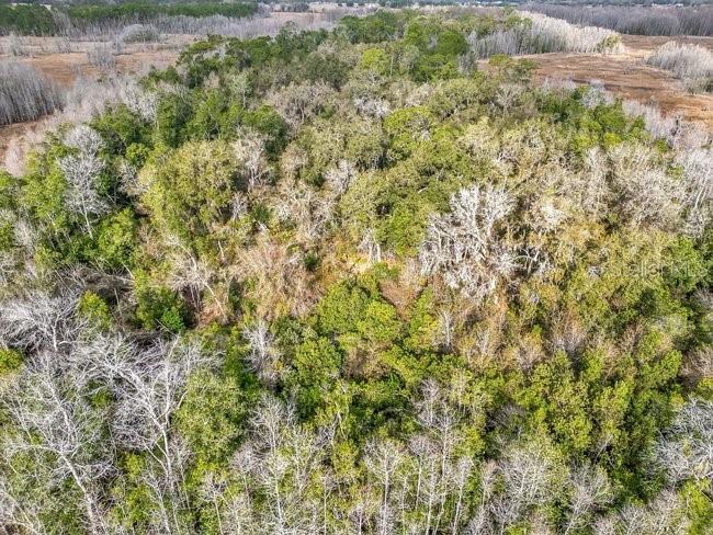 11535 Mattioda Road Groveland FL 34736 OM720967 image9