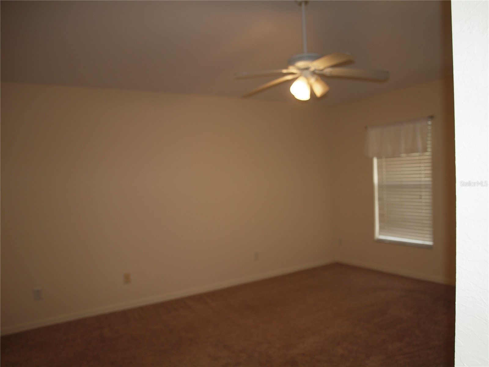 11536 11536 Crestlake Village Dr Riverview FL 33569 TB8511810 image10