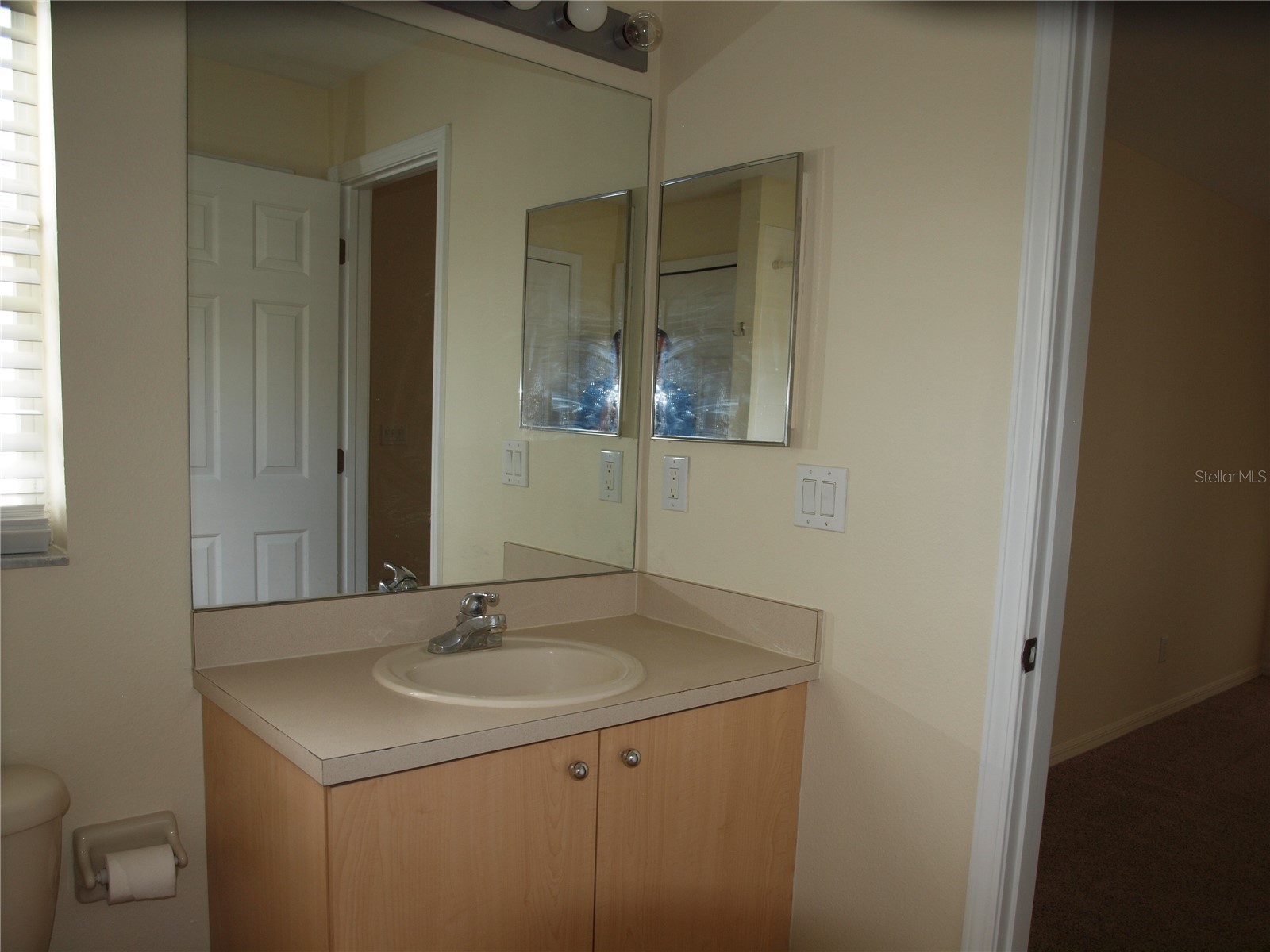 11536 11536 Crestlake Village Dr Riverview FL 33569 TB8511810 image12