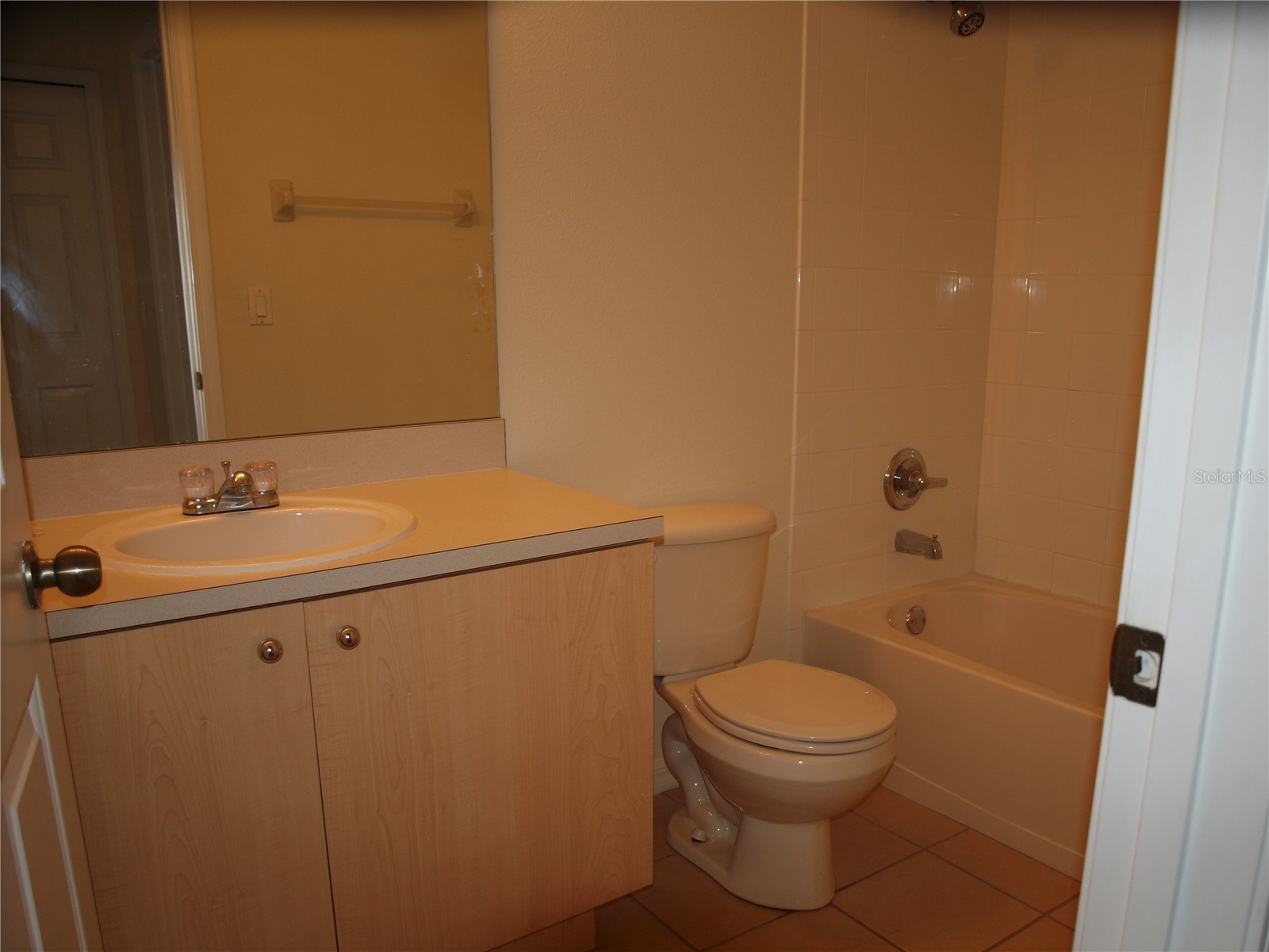 11536 11536 Crestlake Village Dr Riverview FL 33569 TB8511810 image13