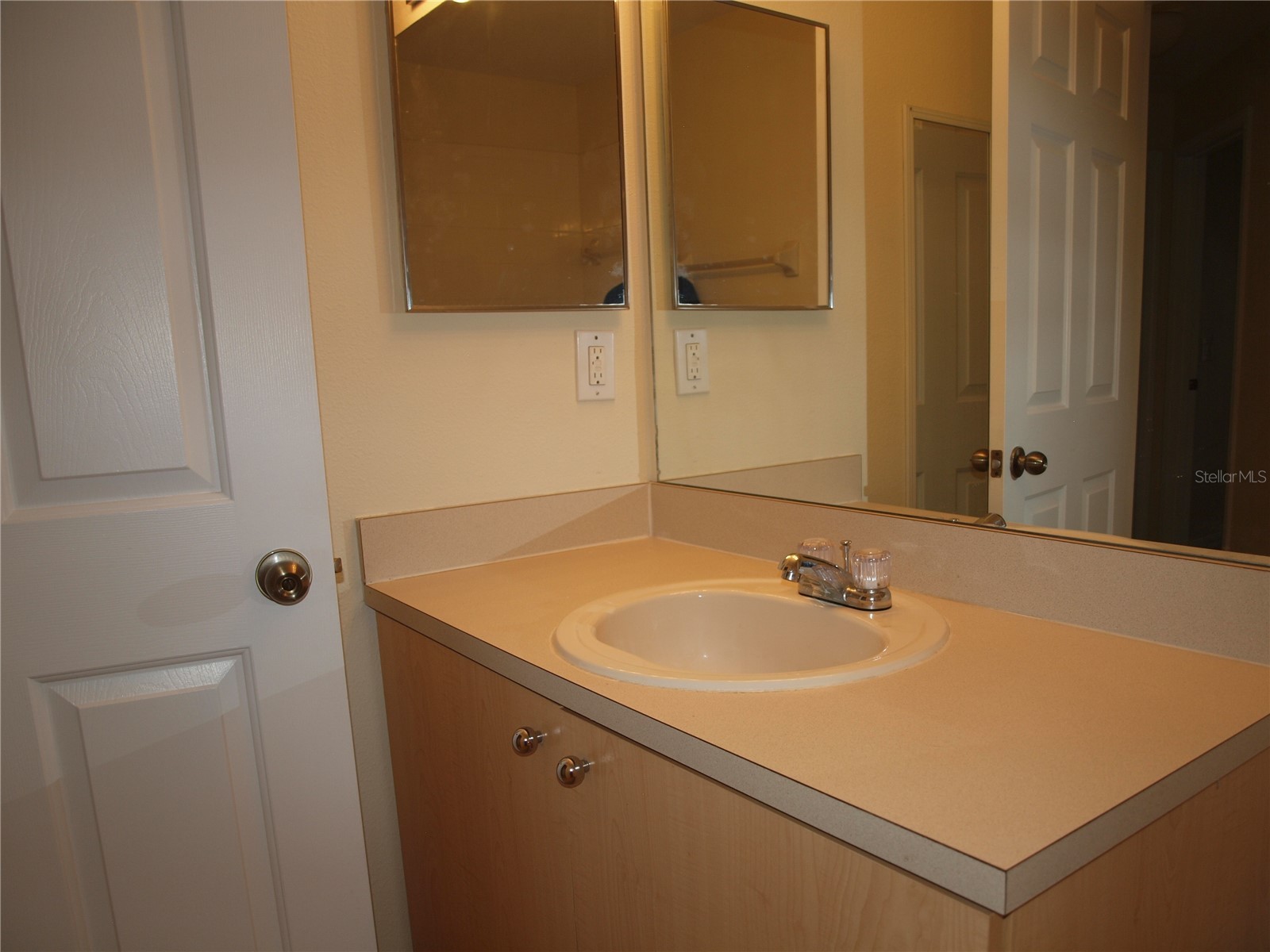 11536 11536 Crestlake Village Dr Riverview FL 33569 TB8511810 image14