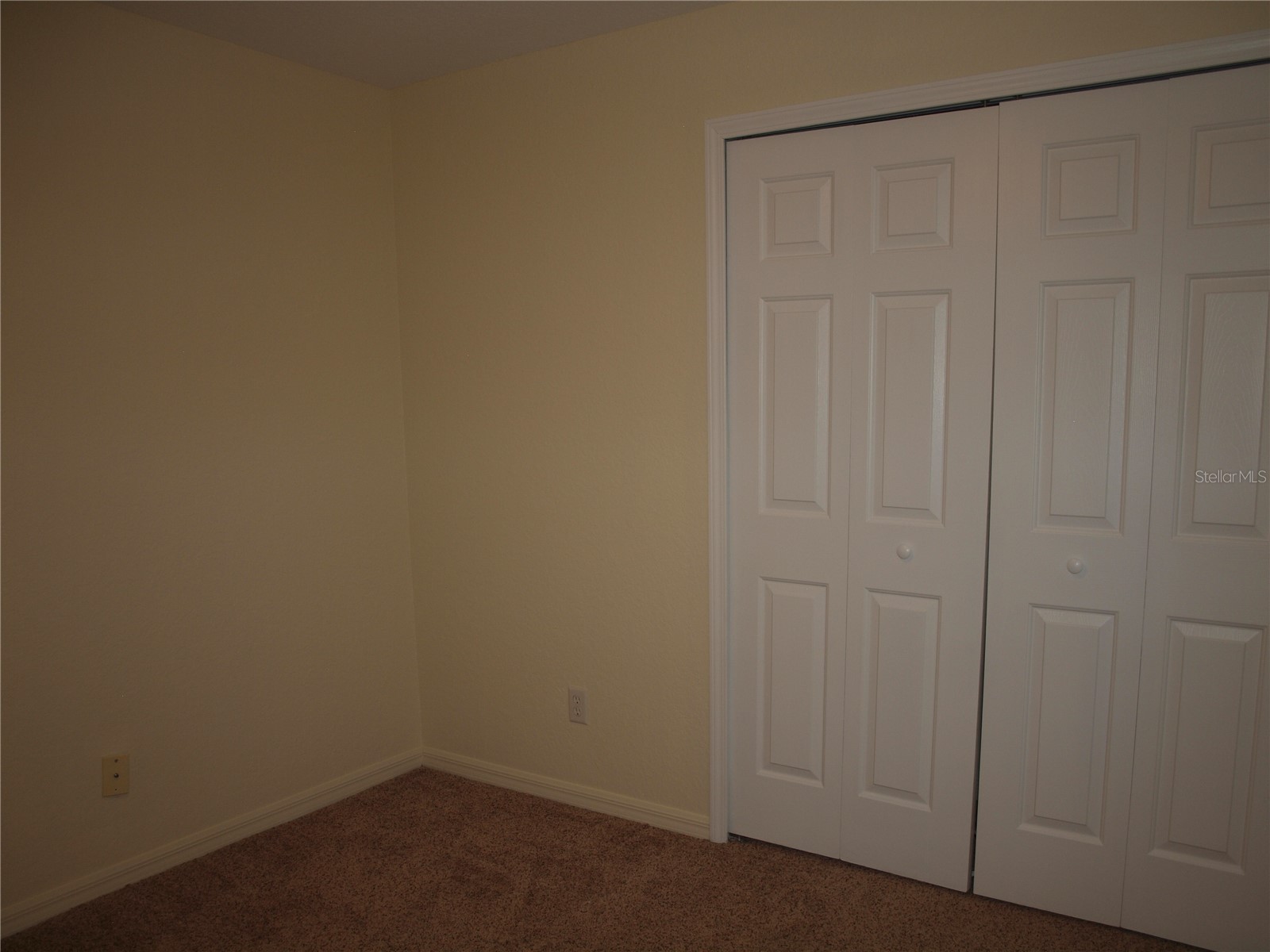 11536 11536 Crestlake Village Dr Riverview FL 33569 TB8511810 image17