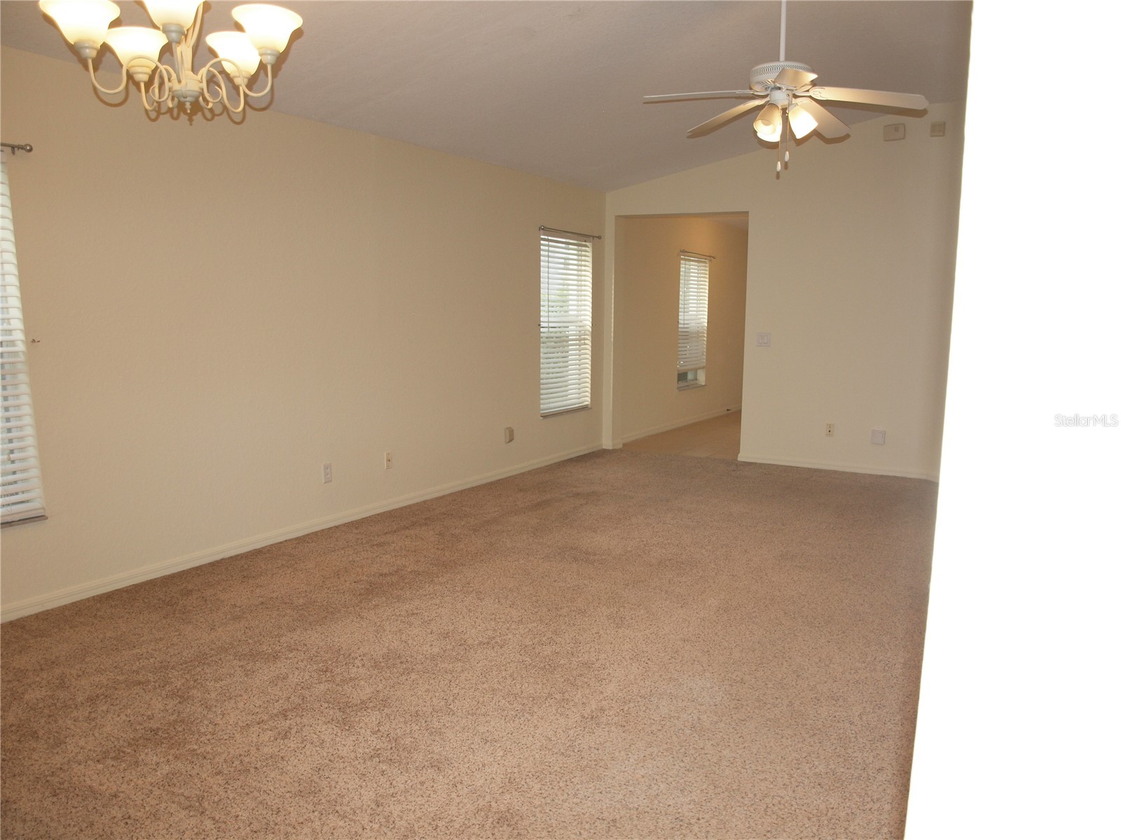 11536 11536 Crestlake Village Dr Riverview FL 33569 TB8511810 image6