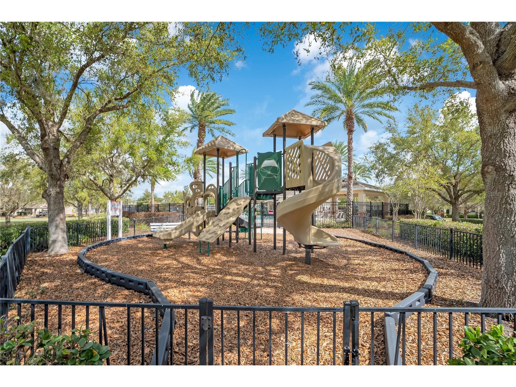 11537 Chateaubriand Avenue Orlando FL 32836 O6390509 image54