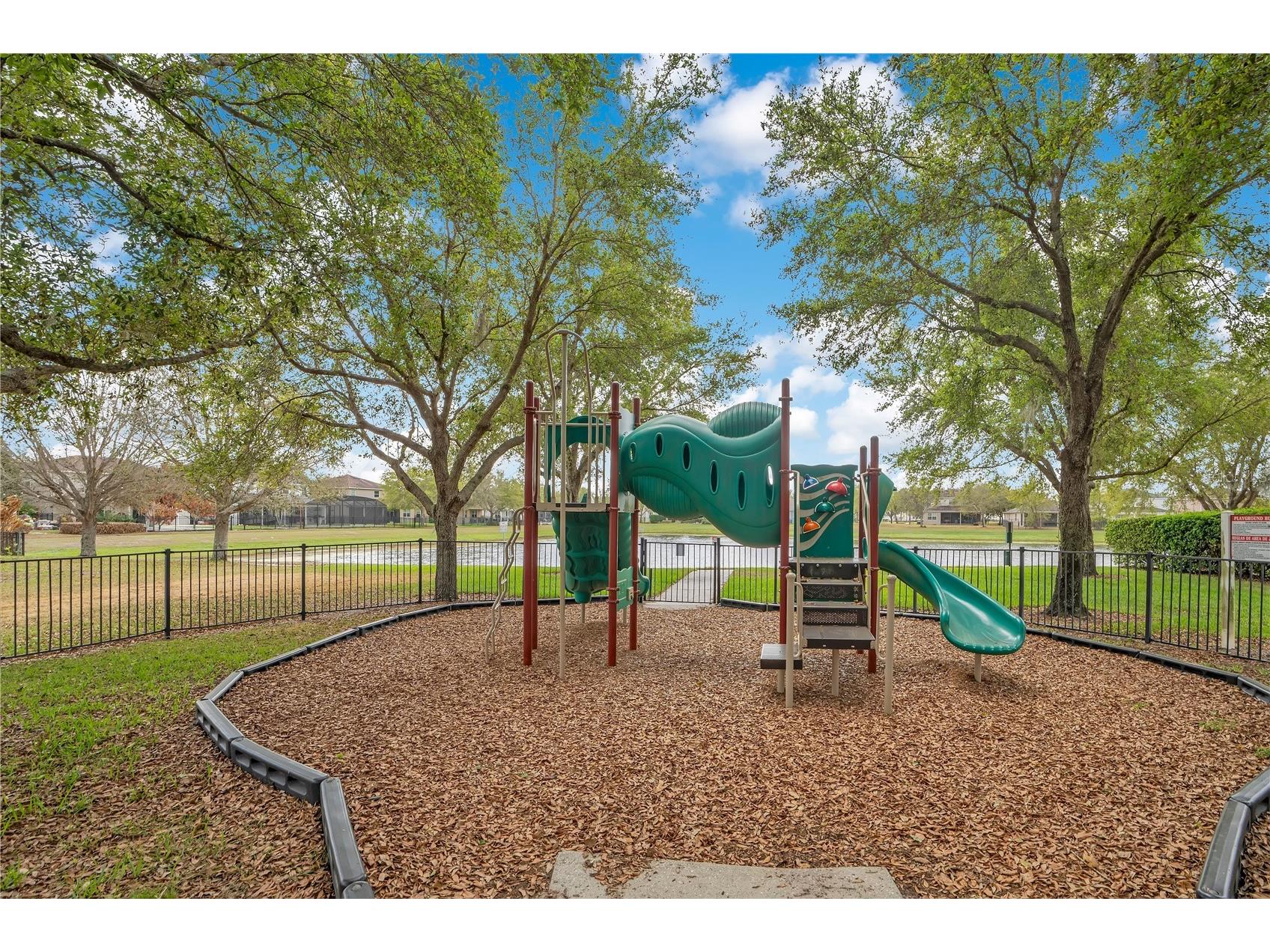 11537 Chateaubriand Avenue Orlando FL 32836 O6390509 image56