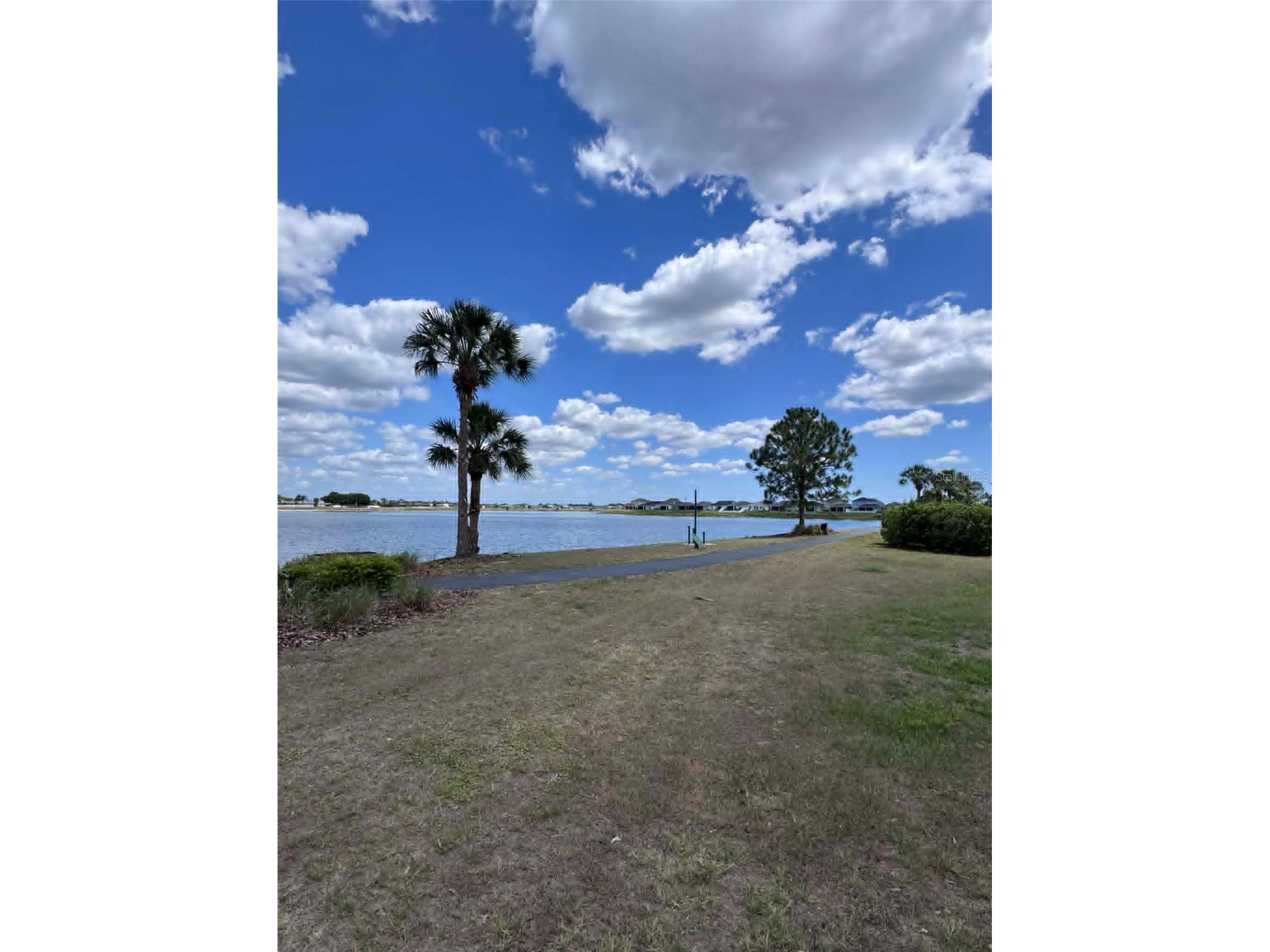 11537 Crestlake Village Drive Riverview FL 33569 TB8502888 image58