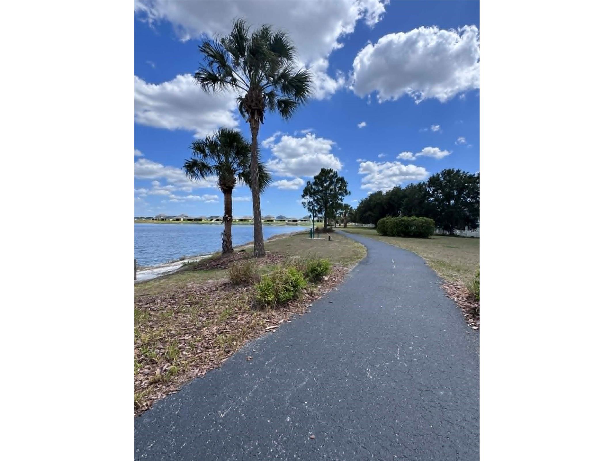 11537 Crestlake Village Drive Riverview FL 33569 TB8502888 image61