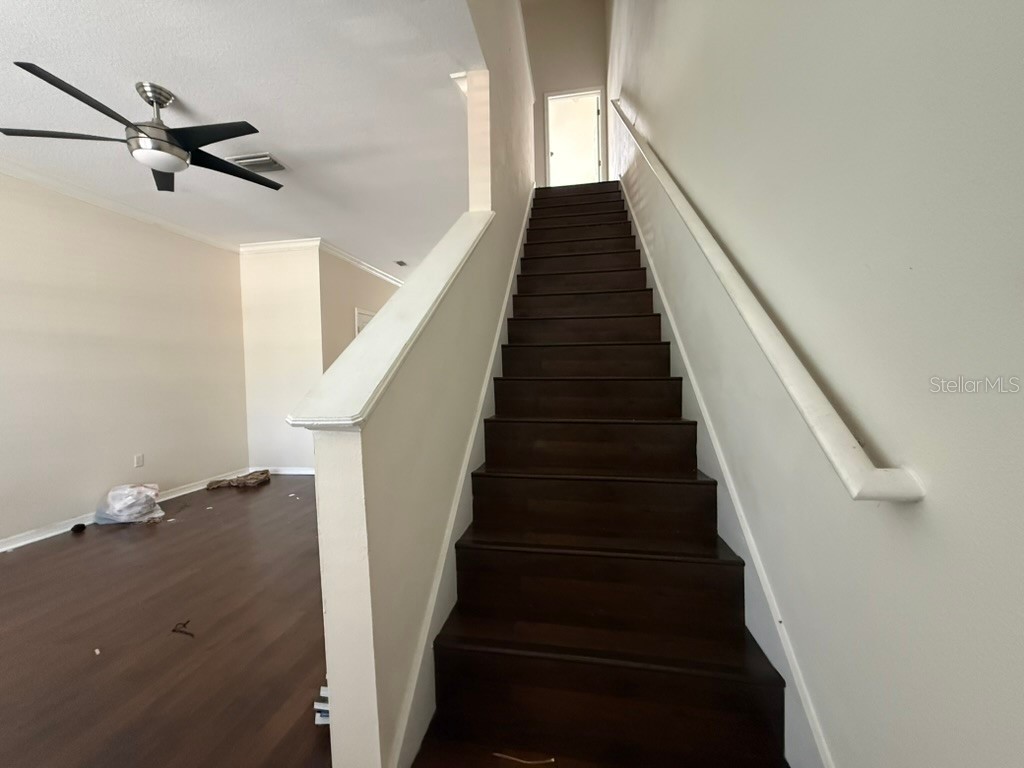 11537 Declaration Drive Tampa FL 33635 O6407178 image12
