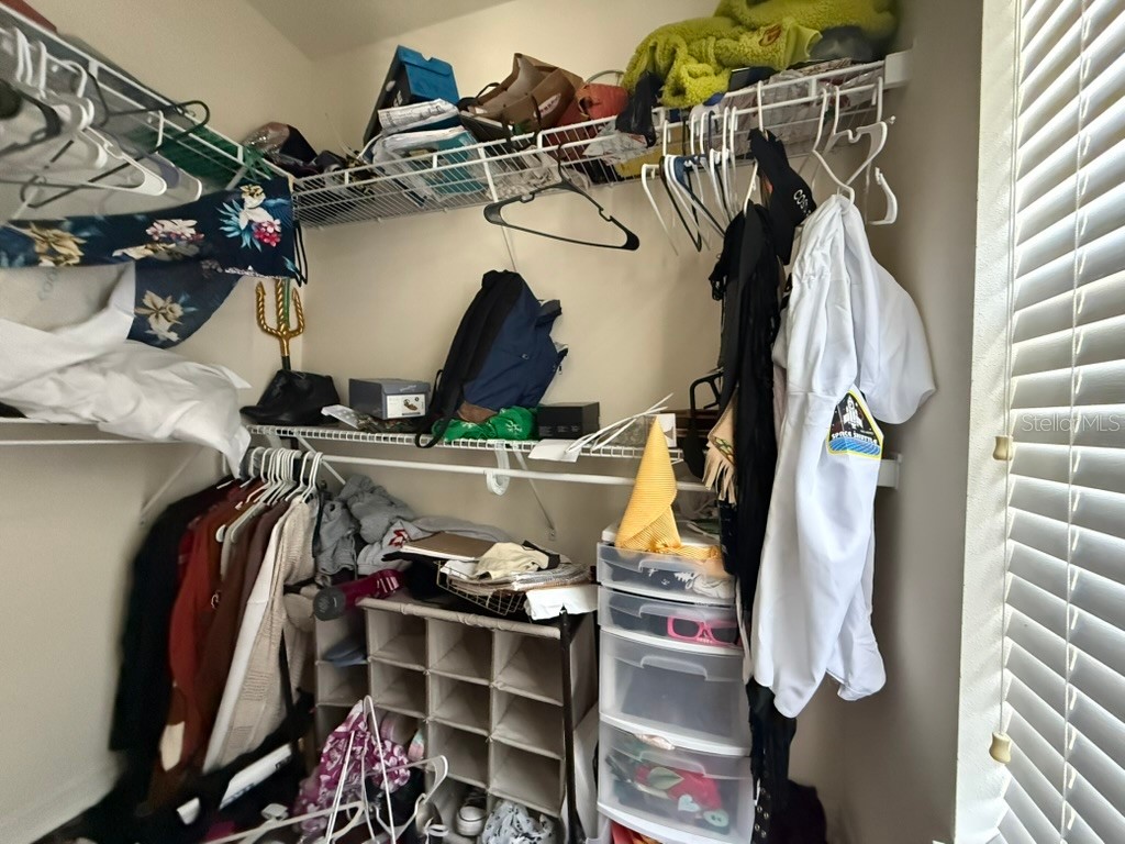 11537 Declaration Drive Tampa FL 33635 O6407178 image18
