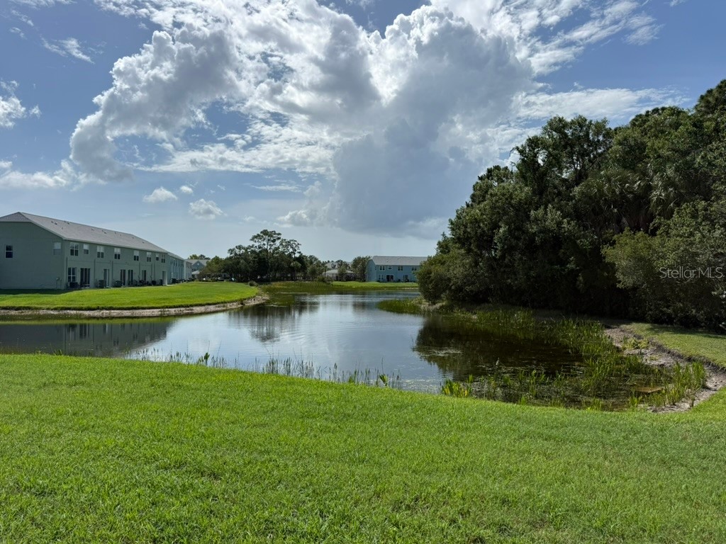 11537 Declaration Drive Tampa FL 33635 O6407178 image23