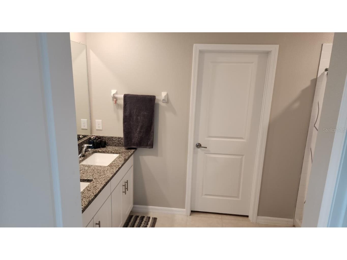 11537 Fern Hill Drive Riverview FL 33578 TB8452080 image18